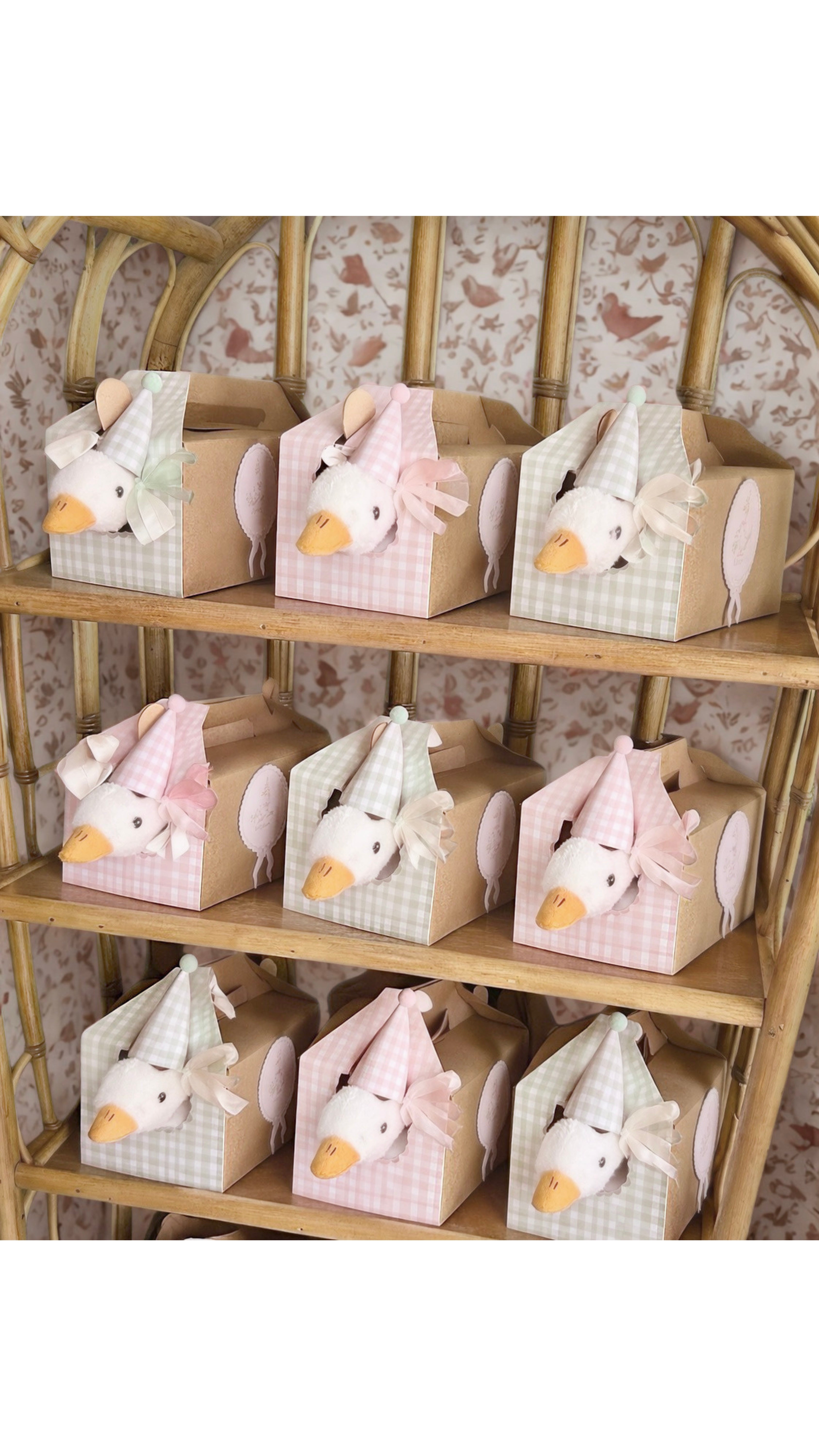 Adopt a Goose Box & son chapeau de fête