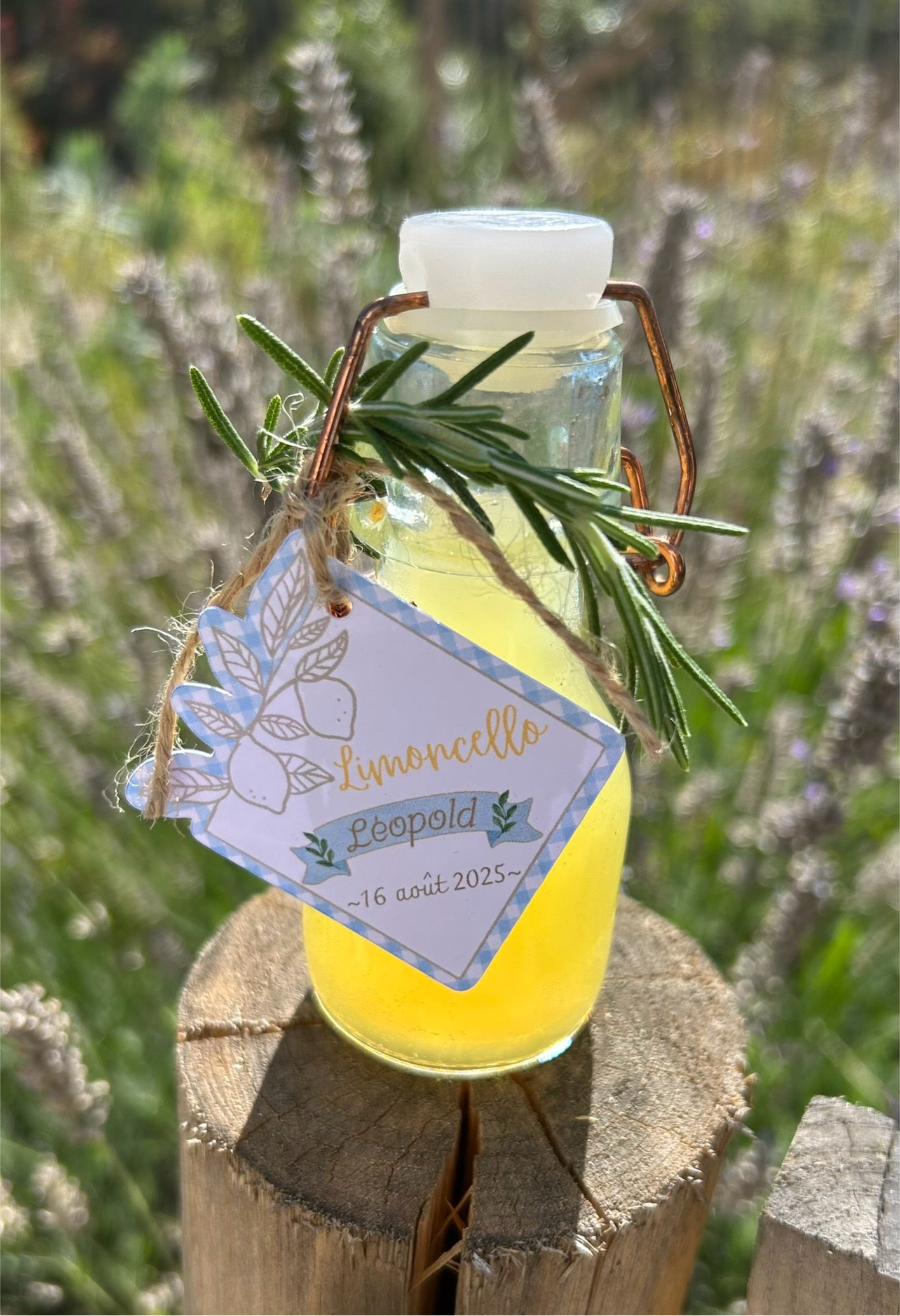 Etiquettes perforées x6